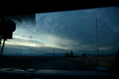 DSC_3116 (Large).JPG